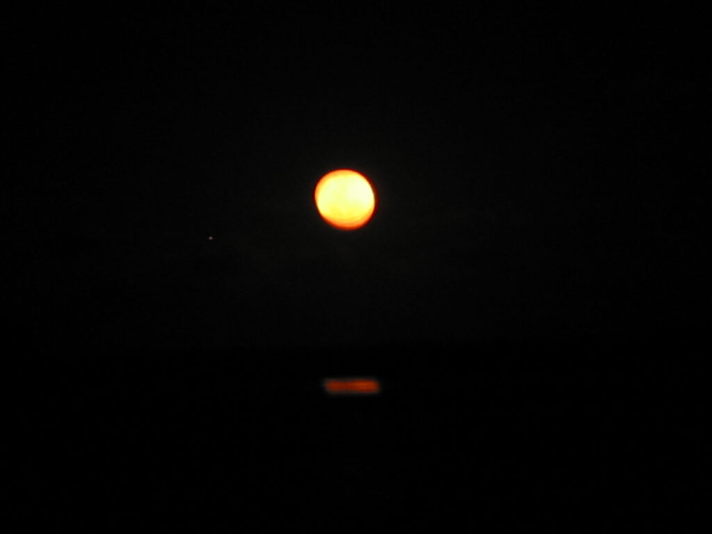 Blue Moon
